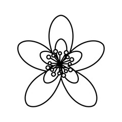 Fototapeta na wymiar cute flower isolated icon vector illustration design