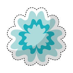 cute flower isolated icon vector illustration design
