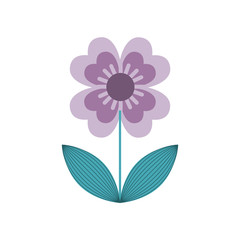 cute flower isolated icon vector illustration design