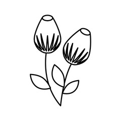cute flower isolated icon vector illustration design