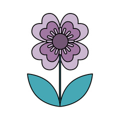 cute flower isolated icon vector illustration design