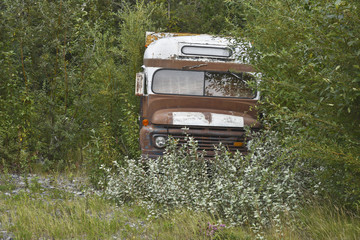 Obraz na płótnie Canvas Old truck has been rejected into the woods a long time ago.