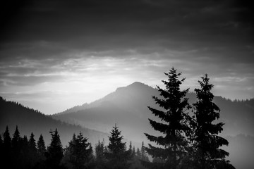 A beautiful, abstract monochrome mountain landscape with trees. Decorative, artistic look in black...