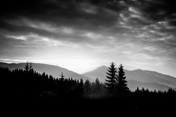 A beautiful, abstract monochrome mountain landscape with trees. Decorative, artistic look in black...