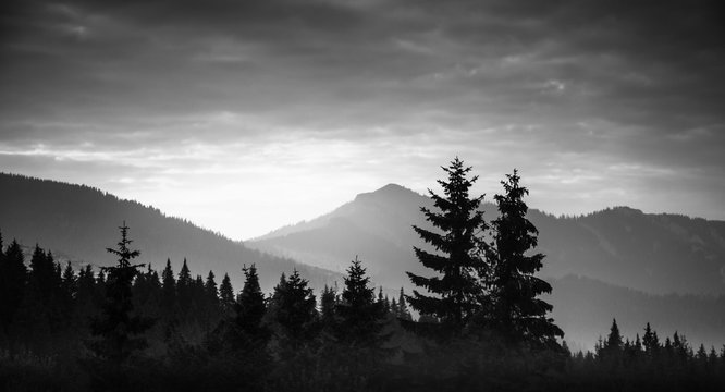 A beautiful, abstract monochrome mountain landscape with trees. Decorative, artistic look in black and white style. - Powered by Adobe