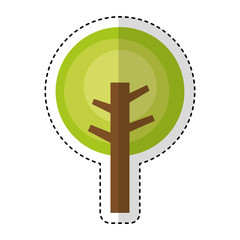 tree plant isolated icon vector illustration design