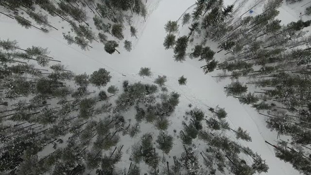 Aerial view over trees and a ski course.