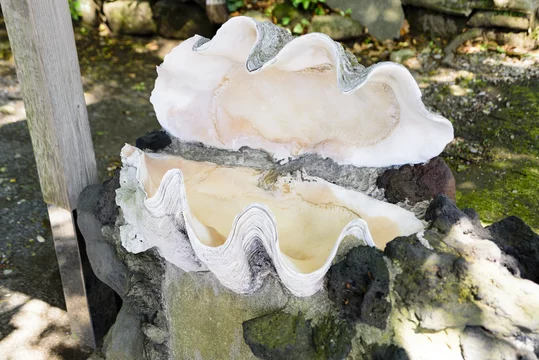 360_F_142577324_iJfTEAKQtJiOAI