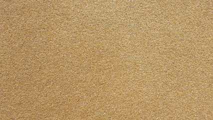 Fototapeta na wymiar Golden beach natural clear sand background texture close up.