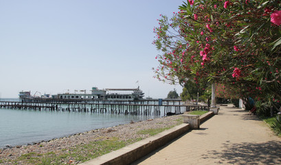 Naklejka premium Beach line in bay of Abkhazia with trees and flowers.