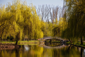 Fototapeta na wymiar bridge across the lake in spring park
