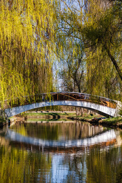 bridge across the lake in spring park © czamfir