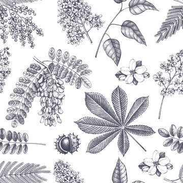Vector spring background. Seamless pattern with hand drawn blossoming trees sketch. Vintage floral illustration.