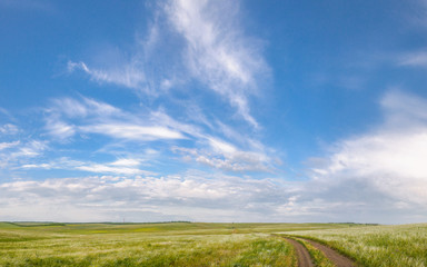 Steppe and cloudy sky