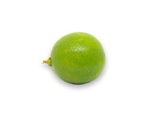 Green lime on white background.