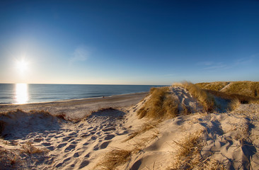 Dünen an der Küste Dänemarks bei Gegenlicht