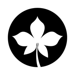 leafs plant isolated icon vector illustration design