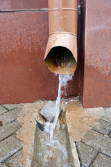 water from the drain pipe