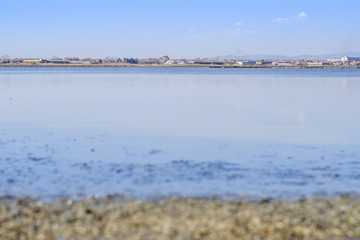 Salty lake landscape