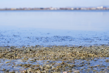 Salty lake mud