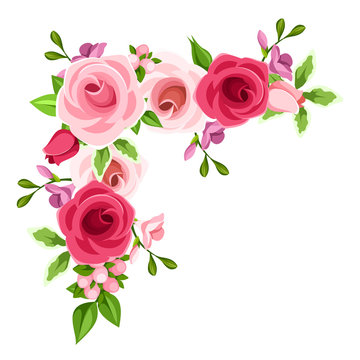 Vector corner background with red, pink and purple roses and freesia flowers.