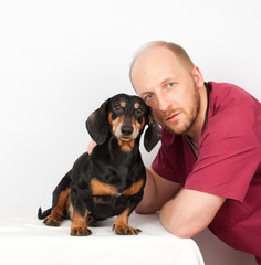 dachshund dog examination by a veterinary doctor