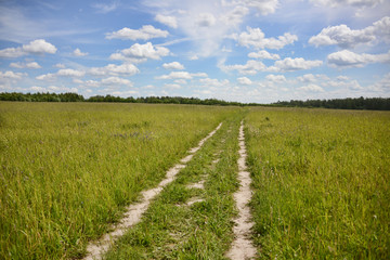 Fototapeta na wymiar Road between the summer field against the blue sky