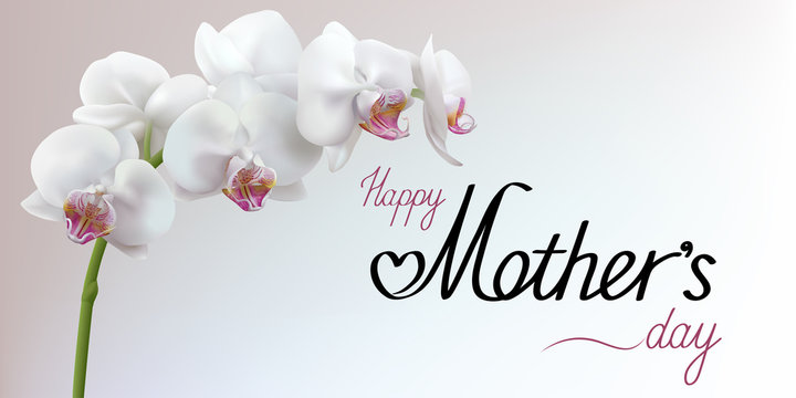 Happy Mothers Day greeting background with flower. Horizontal vector illustration.