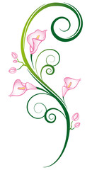 stationery Lily letterhead Wall tattoo