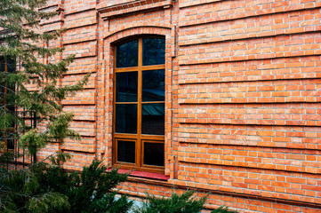 Large windows and coniferous tree.