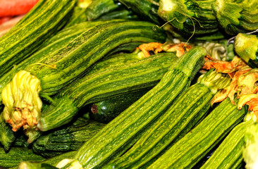 Zucchini Romanenca (Italian Costata squash) 