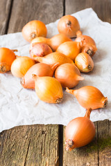 Onion and pots on wooden table