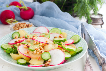Potato salad with fresh cucumber and radish, horizontal