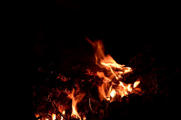 Fototapeta na wymiar Image of the flame from the bonfire