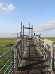 Obraz premium Charente-Maritime - Marsilly - panoramae sur la Baie de l'Aiguillon