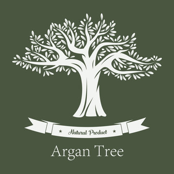 Argania tree or argan fruit plant