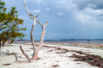 Sanibel Sands