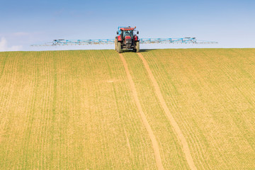 Fototapeta premium Spring chemical treatment of cereals