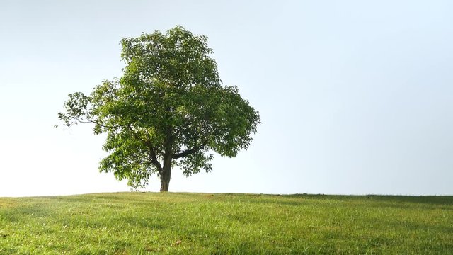 4K  landscape, sky coud and pond