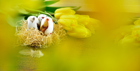 Painted eggs with tulips in easter decoration