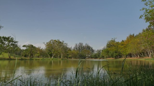 4K time lapse landscape, sky coud and pond