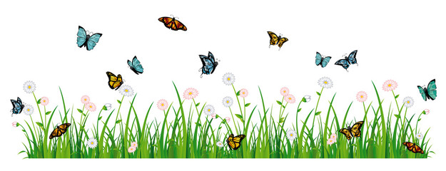 Butterfly meadow banner