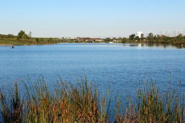 The lake in the park on a sunny summer day.