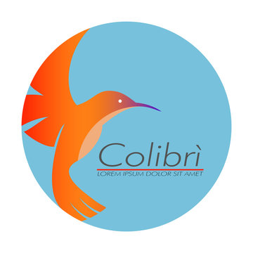 Flying Hummingbird Colibri Logo Symbol