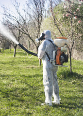 Young farmer spraying apricot trees with chemicals in the orchard