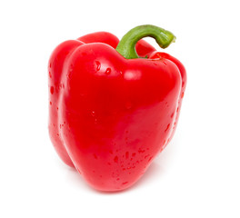 Juicy red paprika on a white background