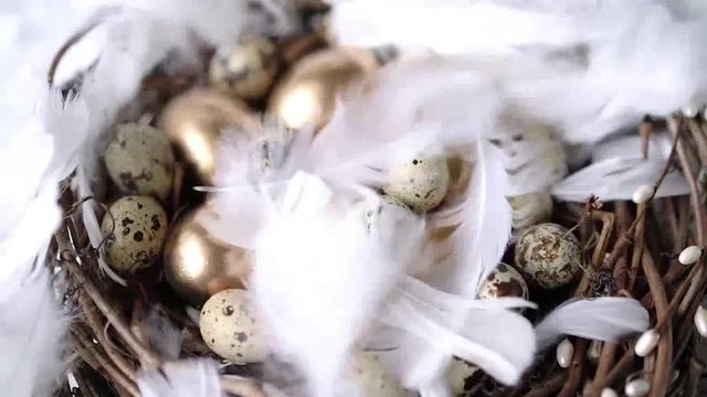 With golden eggs blow off white feathers. Slow motion