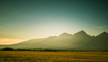 A beautiful, colorful, abstract mountain landscape with a hot summer haze in warm green tonality. Decorative, artistic look.