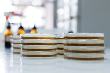 Eosin Methylene Blue (EMB) Agar for culture medium for Inoculum tests.