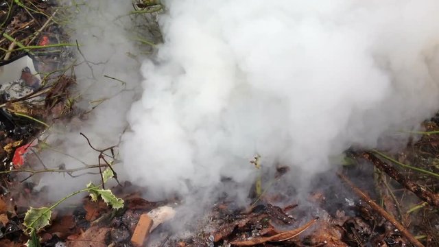 Smoke billowing out of a garden bonfire